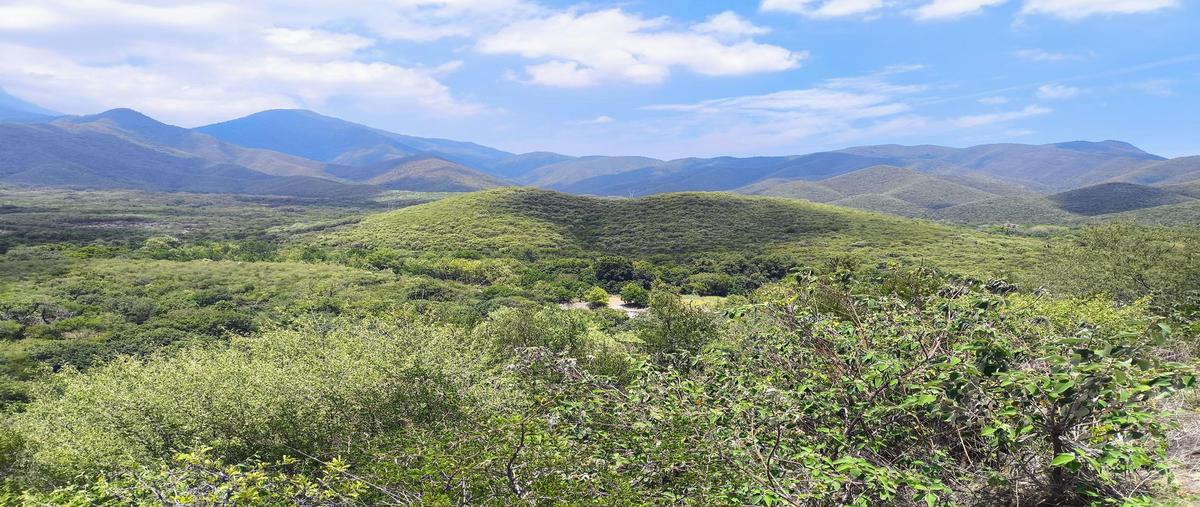 Foto de terreno habitacional en venta en  , las cruces [carretera nacional kilómetro 236], allende, nuevo león, 31271395 No. 05